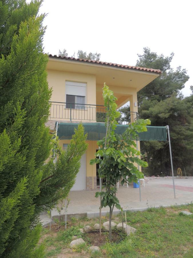 Villa Platskos vol3 Kriopigi Exterior foto